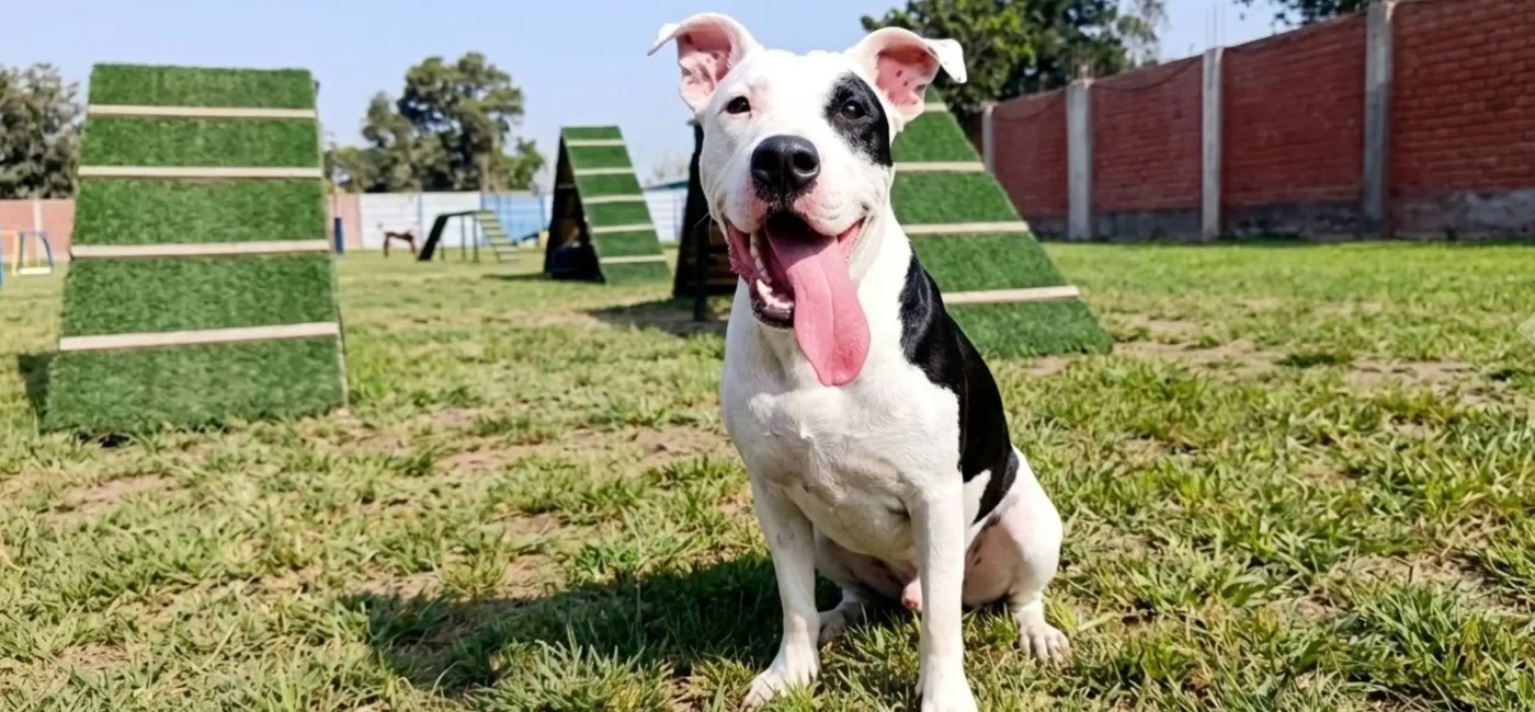 Amor mal canalizado: cuando querer mucho no ayuda