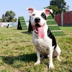 Amor mal canalizado: cuando querer mucho no ayuda